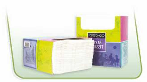 PAPER NAPKINS 02_Party Pack Napkin 100 Pulls